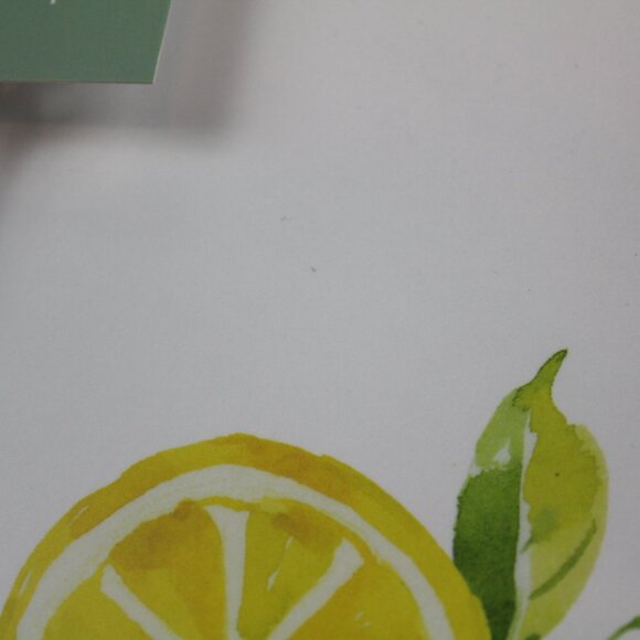 Soho Loft Dinner Plates Lemon White Yellow Set of 4 Melamine 10.5" Summer NWT - Picture 5 of 7